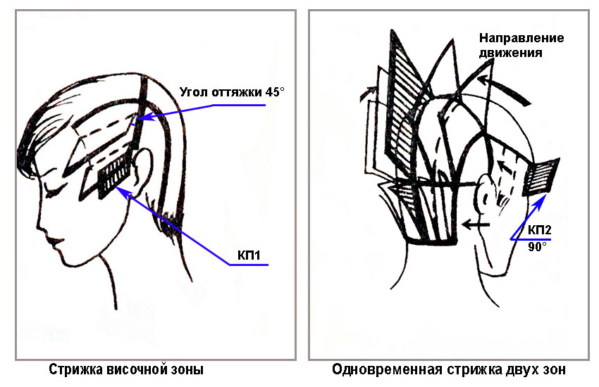 Зона стрижка. Углы оттяжки волос схемы. Схемы височных зон в стрижках. Стрижка височно боковой зоны Каскад схема. Угол оттяжки 45 градусов схема.