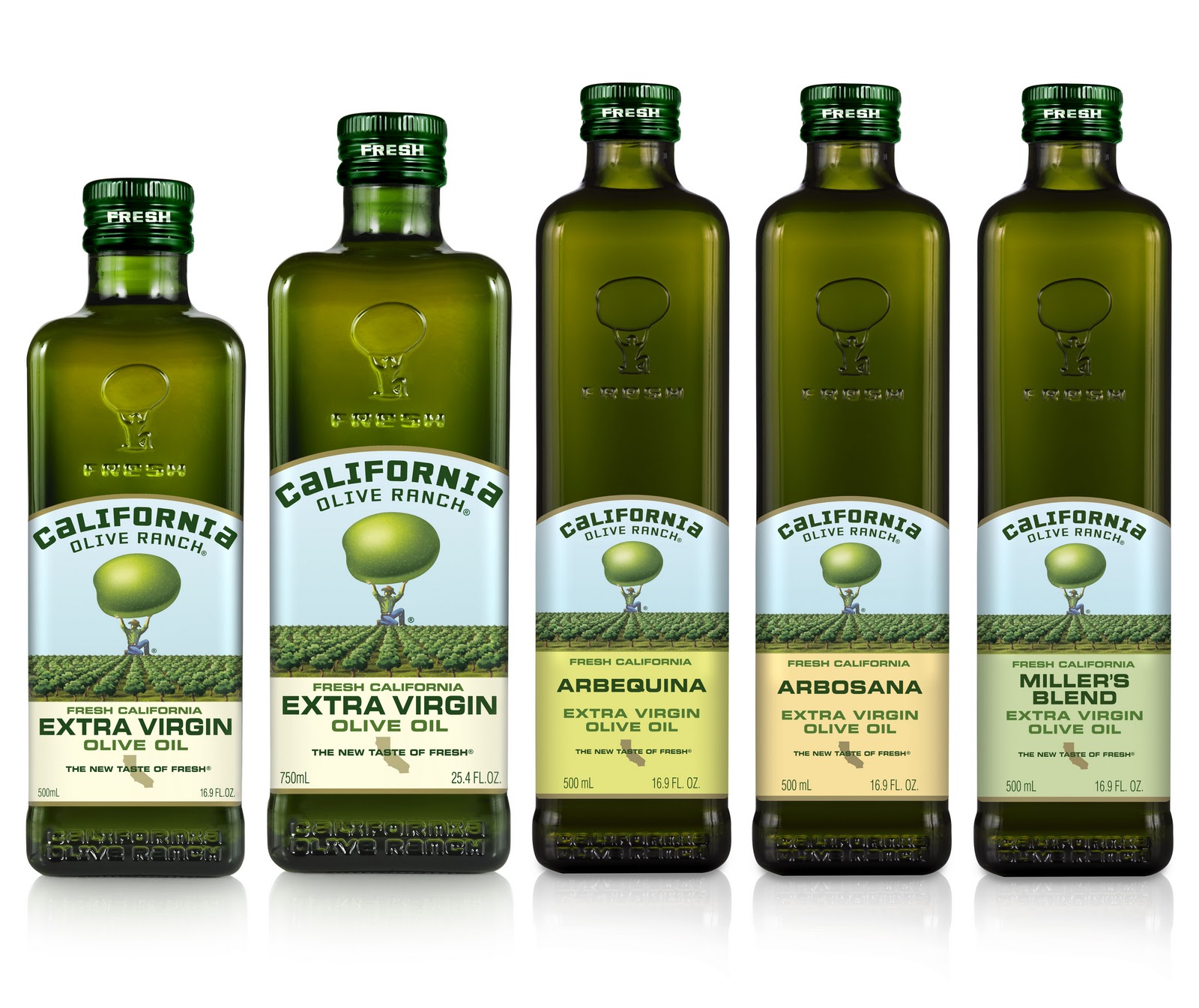 Код оливкового масла