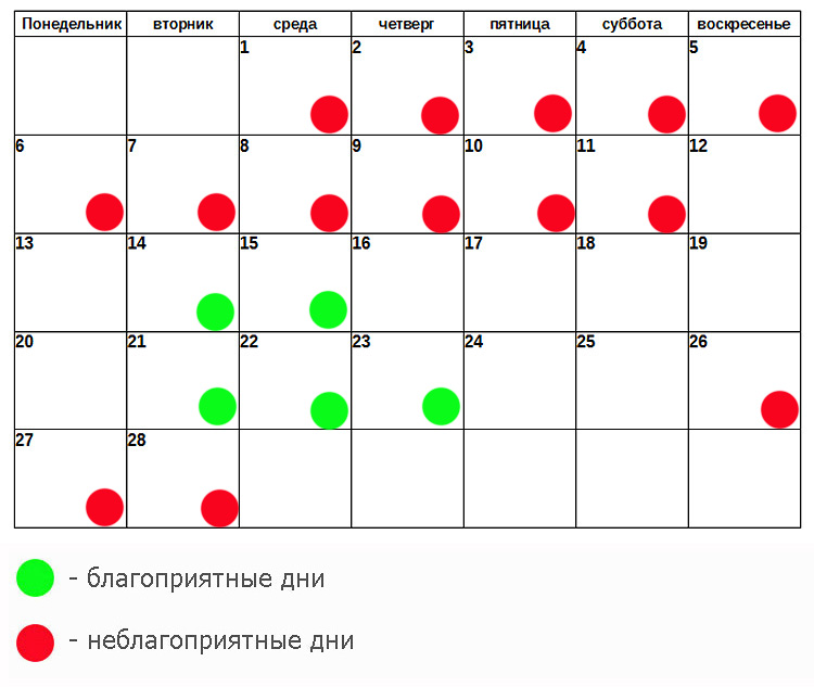 Календарь стрижки волос март 24