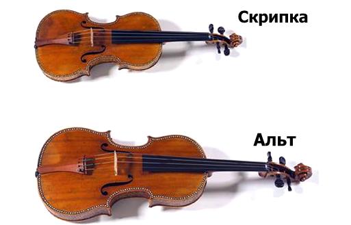Скрипка и альт