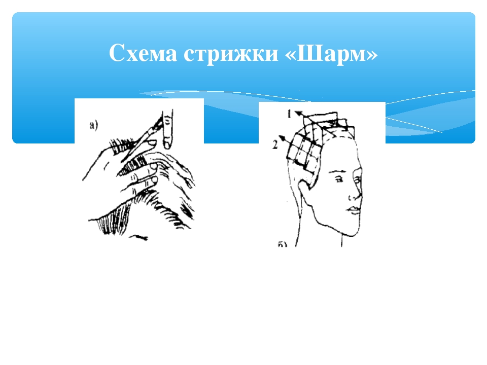 Технология выполнения. Стрижка Шарм схема. Стрижка Шарм технология выполнения. Схемы выполнения стрижки женской Шарм. Женская стрижка Шарм техника выполнения.