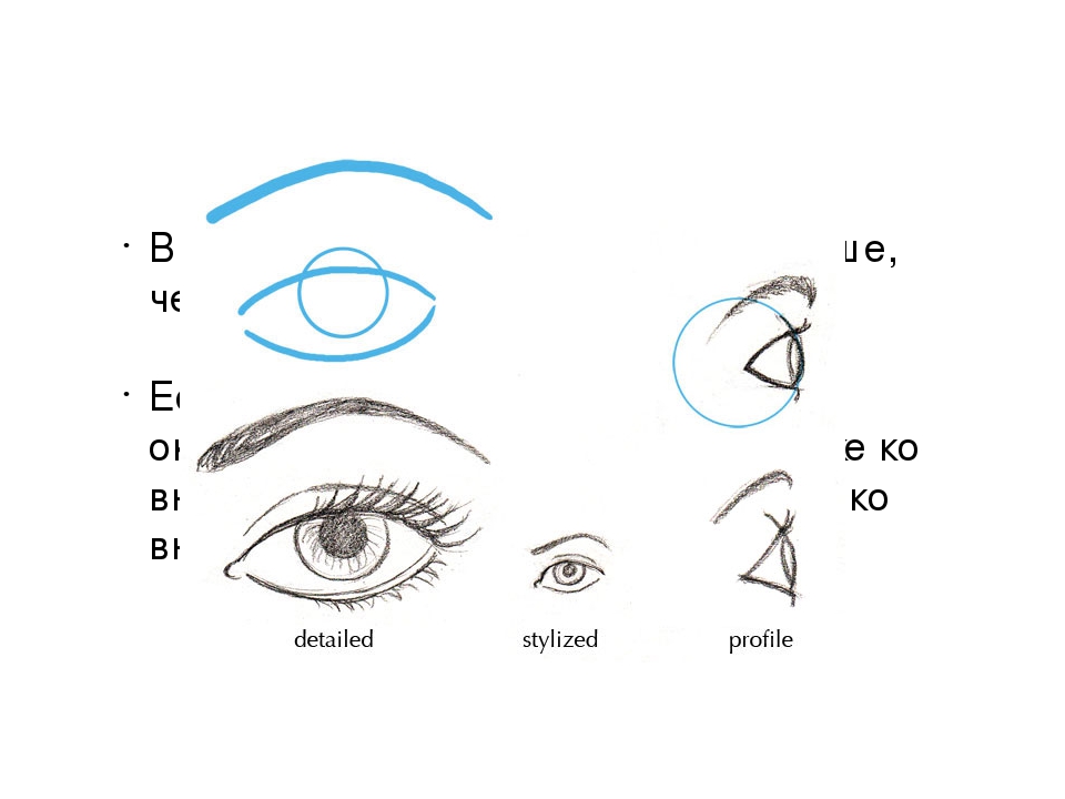 Глаз схема рисунок. Схема рисования глаз с бровями. Бровь с глазом схема. Глаз для нарисования схемы. Схема рисования бровей карандашом на лице.