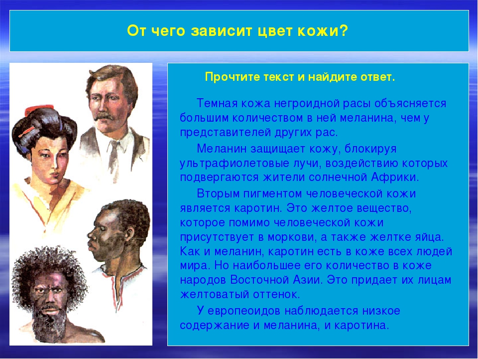 От чего зависит цвет цветов. От чего зависит цвет кожи. От чего зависит цвет. Цвет кожи зависит от. От чего зависит цвет кожи человека.