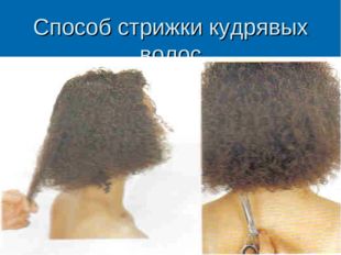Способ стрижки кудрявых волос 