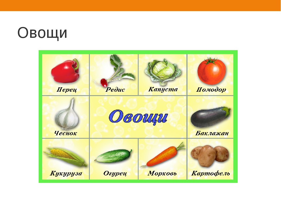 Что называют овощами. Какие овощи. Какие есть овощи. Овощи картинки с названиями. Овощи рисунок с названиями.