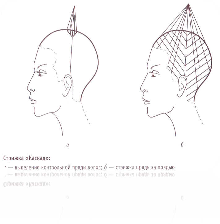 Техника стрижки каскад. Стрижка Каскад схема проборов. Схема стрижки Каскад радиальными проборами. Каскад схема стрижки теменной зоны. Технология стрижки Каскад схема.