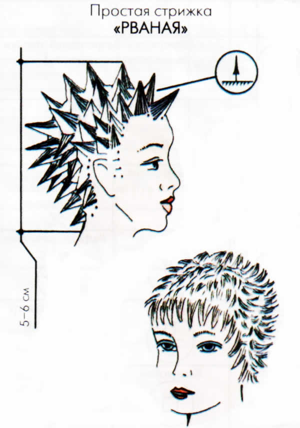 Короткие женские стрижки выполнение. Технология стрижки Гарсон схема. Схема стрижки Пикси. Схема короткой женской стрижки. Схема стрижки на короткие волосы.