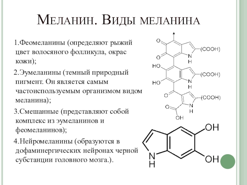 В каком слое кожи синтезируется пигмент меланин. Меланин. Меланин и феомеланин. Типы меланина. Меланин структура.