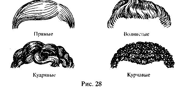 Чем отличается волос