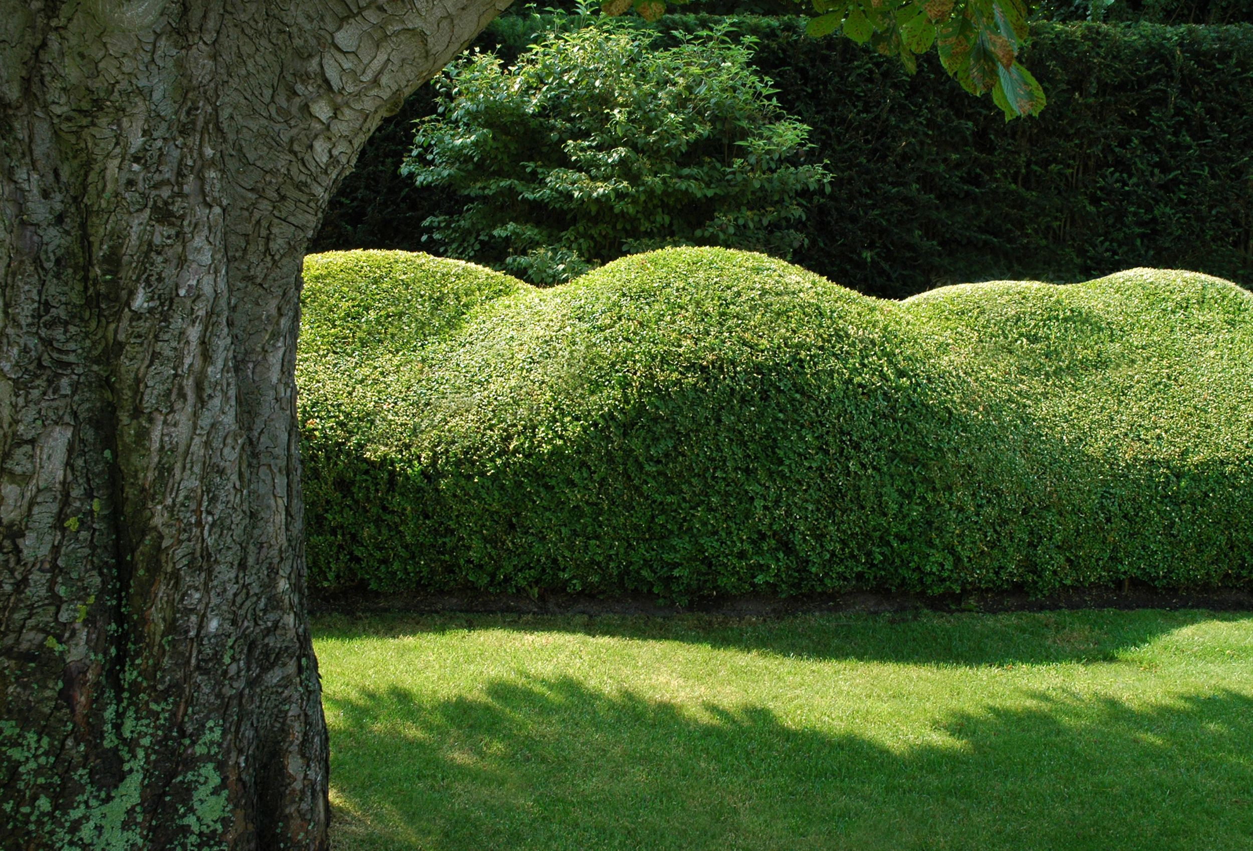 au jardin fleuri charmant these sculptures in buxus are part of a vitalis garden de au jardin fleuri